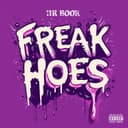 Cover art for “Freak Hoes” by NR Boor
